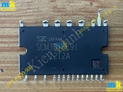 SCM3615C91